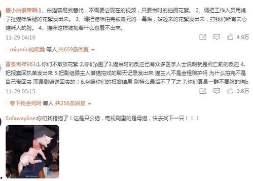 群演爆料大全视频下载,揭秘影视幕后那些事儿 第1张 群演爆料大全视频下载,揭秘影视幕后那些事儿 第1张